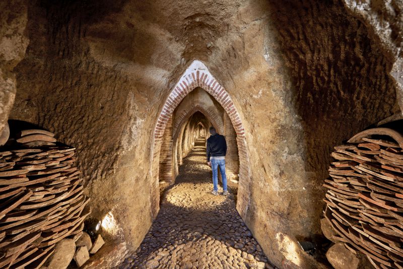 Cuevas del Castillejo